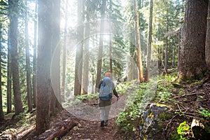 Hike in the forest