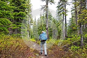 Hike in the forest