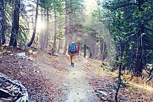 Hike in the forest