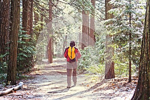 Hike in the forest