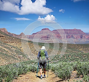 Hike in Grand Canyon