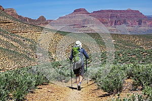 Hike in Grand Canyon