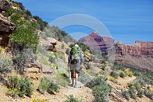 Hike in Grand Canyon