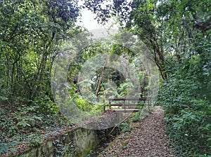 Hike inside Brasital Cultural Center in the city of Sao Roque, Brazil. photo