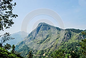 Hike Little Adamâ€™s Peak Sri Lanka