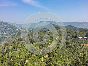 Hike Little Adamâ€™s Peak Sri Lanka