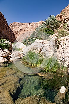 Hike through narrow valley of Wadi Shab in Tiwi near Mascat in Oman photo