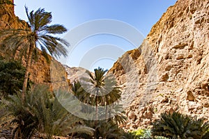 Hike through narrow valley of Wadi Shab in Tiwi near Mascat in Oman photo