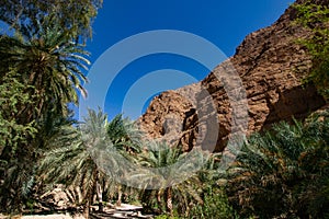 Hike through narrow valley of Wadi Shab in Tiwi near Mascat in Oman photo