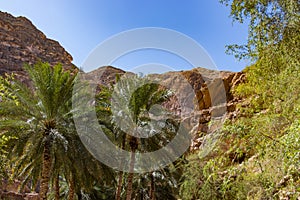 Hike through narrow valley of Wadi Shab in Tiwi near Mascat in Oman photo