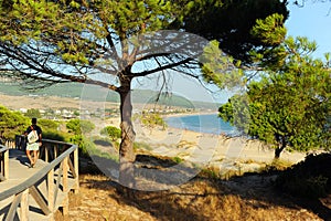 Hike in the Natural Park of the Strait (Parque Natural del Estrecho). Pine forests and Bay of Bolonia, Andalusia, Spain photo