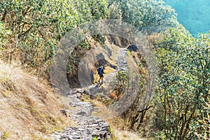 Hike in Nepal jungle