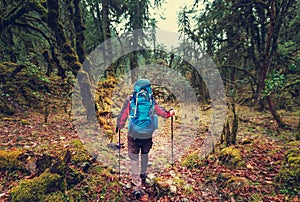 Hike in Nepal jungle