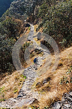 Hike in Nepal jungle