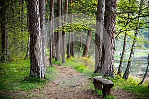 Hike path