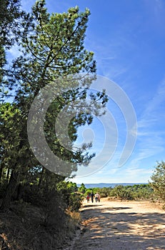 Hike in the Sierra de Andujar Natural Park, Jaen province, Spain