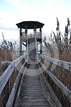 Hike to the viewpoint