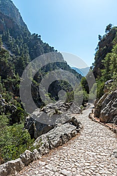 A hike in the tramuntana mountains in mallorca