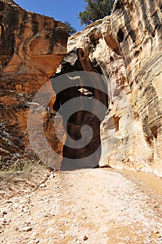 Willis creek slot canyon in escalante utah photo