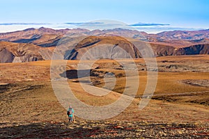 Hiker in alpine Tundra of Richardson Mountains, NWT, Canada