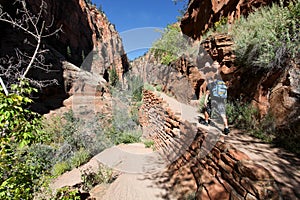 Hiker, Angels Landing trail in Zion National Park