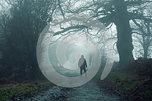 A hiker back to camera,. Standing in a wood on a spooky foggy winters day. Trees silhouetted by the fog