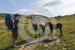 Hiker with backpack feeds wild horses