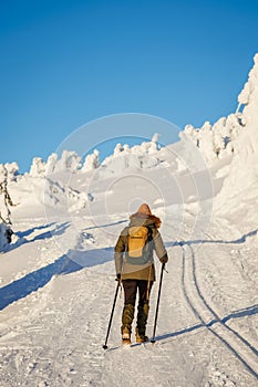 Hiker with backpack and walking poles is hiking in winter mountain trail