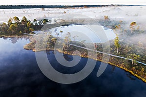 A hiker on a bog trail in Soomaa National Park