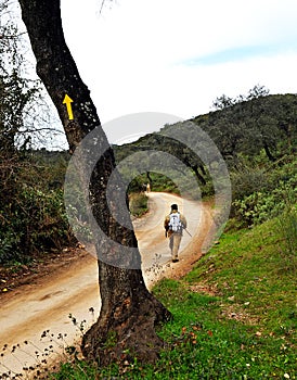 Hiker in Cerro Muriano, Province of Cordoba, Andalusia, Spain photo