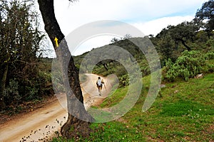 Hiker in Cerro Muriano, Province of Cordoba, Andalusia, Spain photo