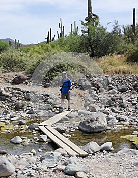 A Hiker Crosses Cave Creek, Spur Cross Ranch Conservation Area