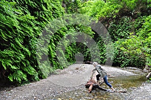 Hiker Crosses a Stream in Canyon of Ferns