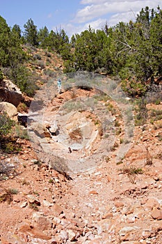 Hiker descending trail