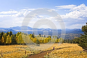Hiker on a dirt path in the Snowbowl area with a pine forest and aspens changing color. Flagstaff, Arizona.