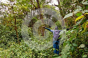 A hiker on a dirt road in the Montane Forest ecological zone in Lake Ngosi Crater Lake, Tanzania