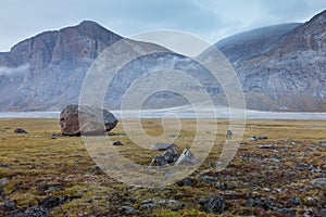 Hiker dwarfed by a big rock in remote arctic valley on a cloudy, rainy day. Dramatic arctic landscape of Akshayuk Pass