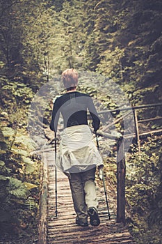 Hiker in a forest