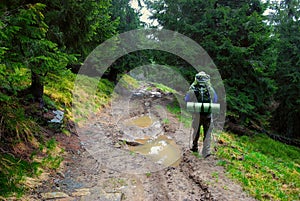 Hiker in forest and puddle on road