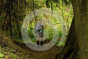 Hiker With Gaiters Pauses While Hiking Along South Fork Of Hoh River