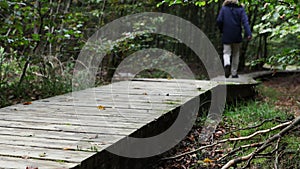 A hiker on the german rothaarsteig hiking trail