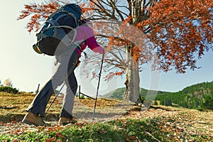 Hiker girl walks alone on a mountain trail