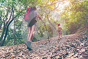 Hiker group young women walking in national park with backpack. Woman tourist going camping in forest.