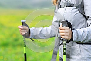 Hiker hands using poles to walk in the mountain