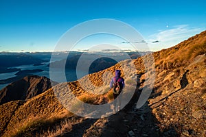 A hiker hiking on the beautiful track with a landscape of the mountains and Lake Wanaka. Roys Peak Track, South Island, New