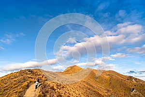 A hiker hiking on the beautiful track with a landscape of the mountains and Lake Wanaka. Roys Peak Track, South Island, New