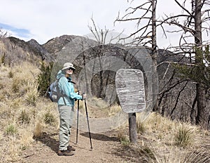 A Hiker on the Huachuca Mountain Crest Trail photo