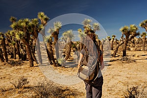 Hiker in joshua tree national park