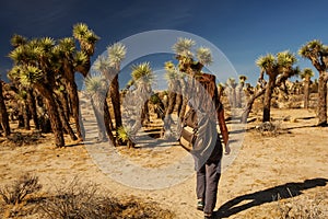 Hiker in joshua tree national park