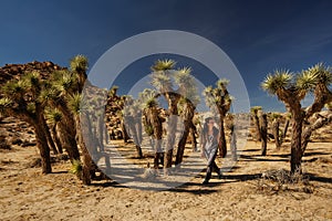 Hiker in joshua tree national park